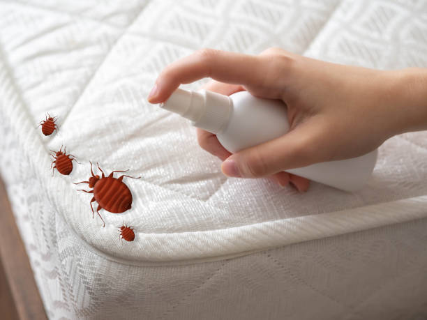 Best Pest Prevention Services  in Garden Grove, CA